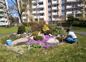 Začínám v Oáze pokoje