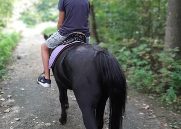 Nezbedové se podívali na svět z koňského hřbetu