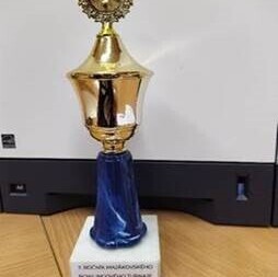 7. ročník Majákovského bowlingového turnaje se skutečně vyvedl!!!