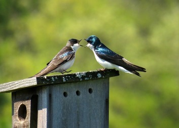 Kurz Argumentace a vyjednávání