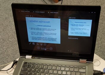 Charita sobě Problematika dědictví