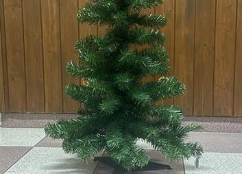 Proč je dobré si půjčit od Charity stromek