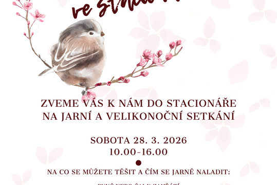 Jarní zastavení ve stacionáři Paskov