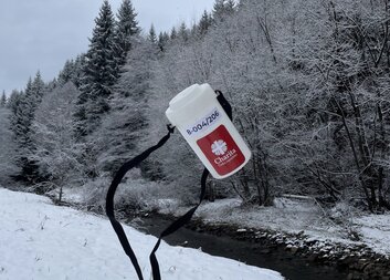 Tříkrálová sbírka překonává hranice